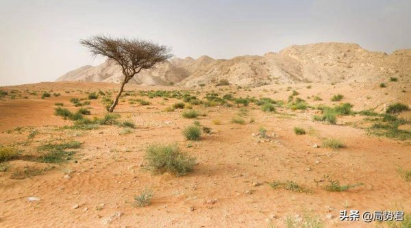 图片[3]-世界十大沙漠面积排名(排名世界前十名的大沙漠)-清水学习网